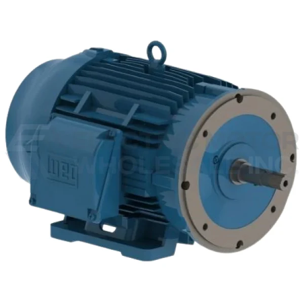 10HP WEG 1175RPM 254/6JM TEFC 3PH PUMP MOTOR 01012ET3E256JM-W22