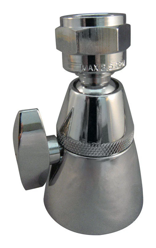 Ace Chrome Chrome 6 settings Showerhead 2.5 gpm
